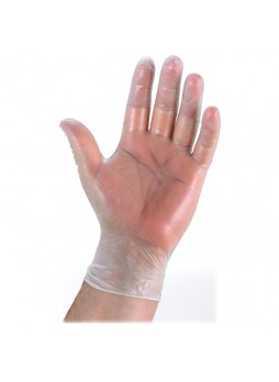 Gloves, Medium Size - Clear - Vinyl - Powder-free, Latex-free, Disposable, Ambidextrous - 100 / Box - gjo15392